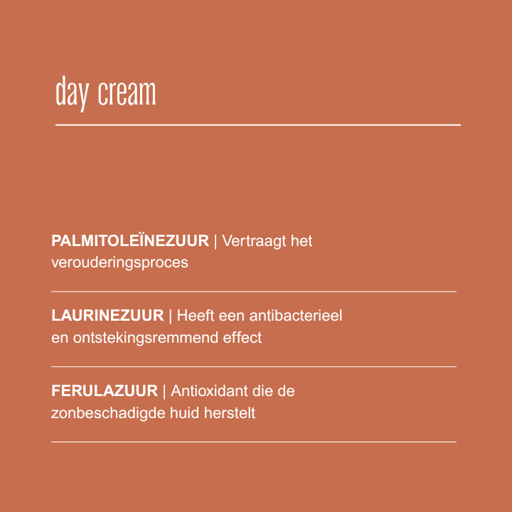 DAY CREAM - 10ml